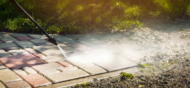 Best Animal Enclosure Cleaning  in Byesville, OH